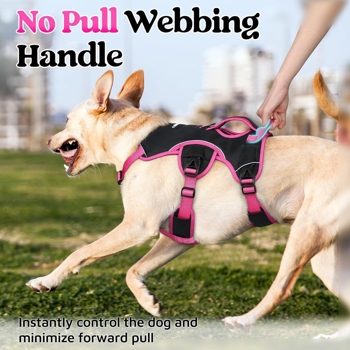 Escape Proof Dog Harness for Large, No Pull with Lift Handle | No Escape, Full Soft Padded, Reflective Adjustable Vest, Leash Clip for Walking Hiking Training, Black, Large