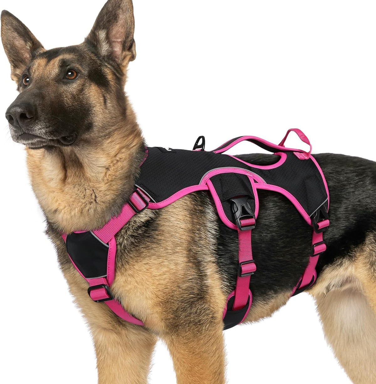 Escape Proof Dog Harness for Large, No Pull with Lift Handle | No Escape, Full Soft Padded, Reflective Adjustable Vest, Leash Clip for Walking Hiking Training, Black, Large