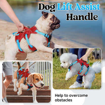 Escape Proof Dog Harness for Large, No Pull with Lift Handle | No Escape, Full Soft Padded, Reflective Adjustable Vest, Leash Clip for Walking Hiking Training, Black, Large