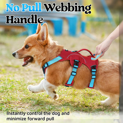 Escape Proof Dog Harness for Large, No Pull with Lift Handle | No Escape, Full Soft Padded, Reflective Adjustable Vest, Leash Clip for Walking Hiking Training, Black, Large