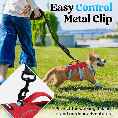 Escape Proof Dog Harness for Large, No Pull with Lift Handle | No Escape, Full Soft Padded, Reflective Adjustable Vest, Leash Clip for Walking Hiking Training, Black, Large