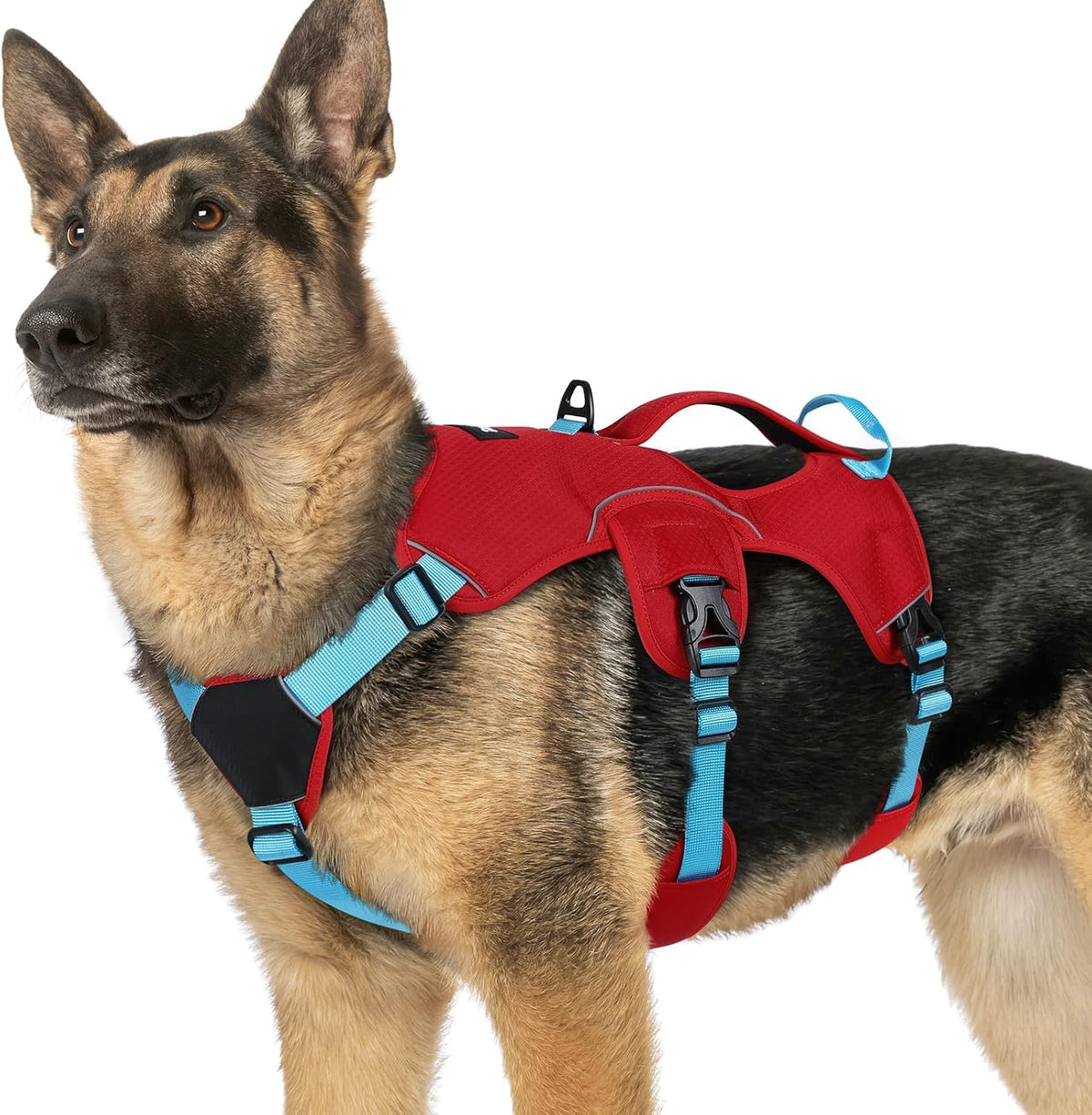 Escape Proof Dog Harness for Large, No Pull with Lift Handle | No Escape, Full Soft Padded, Reflective Adjustable Vest, Leash Clip for Walking Hiking Training, Black, Large