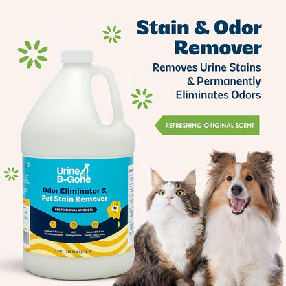 Enzyme Cleaner for Human, Cat & Dog Urine, Original, 1 Gallon