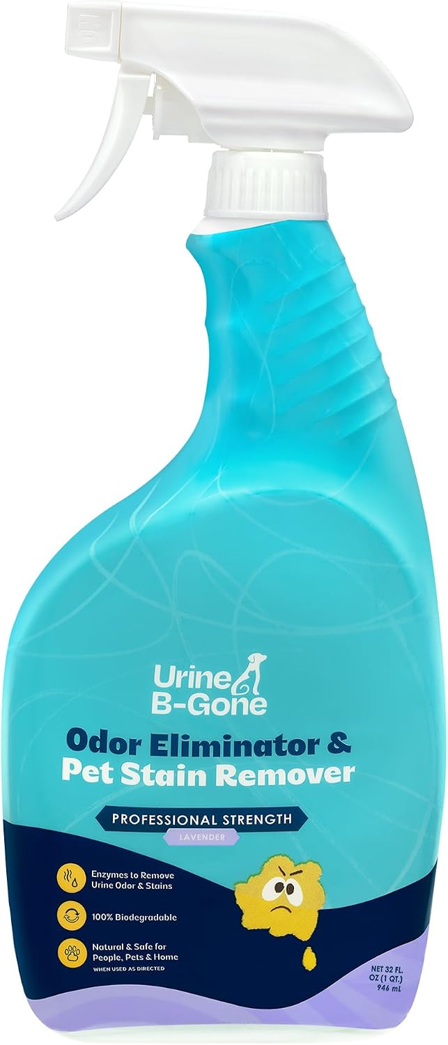 Enzyme Cleaner for Human, Cat & Dog Urine, Original, 1 Gallon