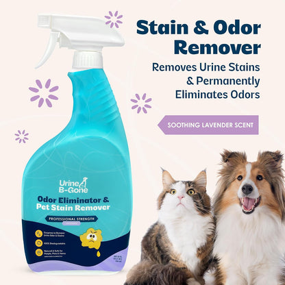 Enzyme Cleaner for Human, Cat & Dog Urine, Original, 1 Gallon