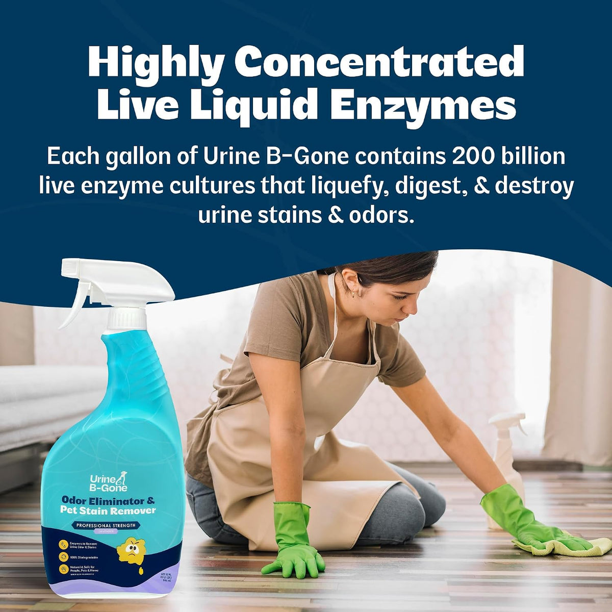 Enzyme Cleaner for Human, Cat & Dog Urine, Original, 1 Gallon