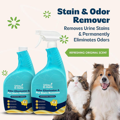 Enzyme Cleaner for Human, Cat & Dog Urine, Original, 1 Gallon