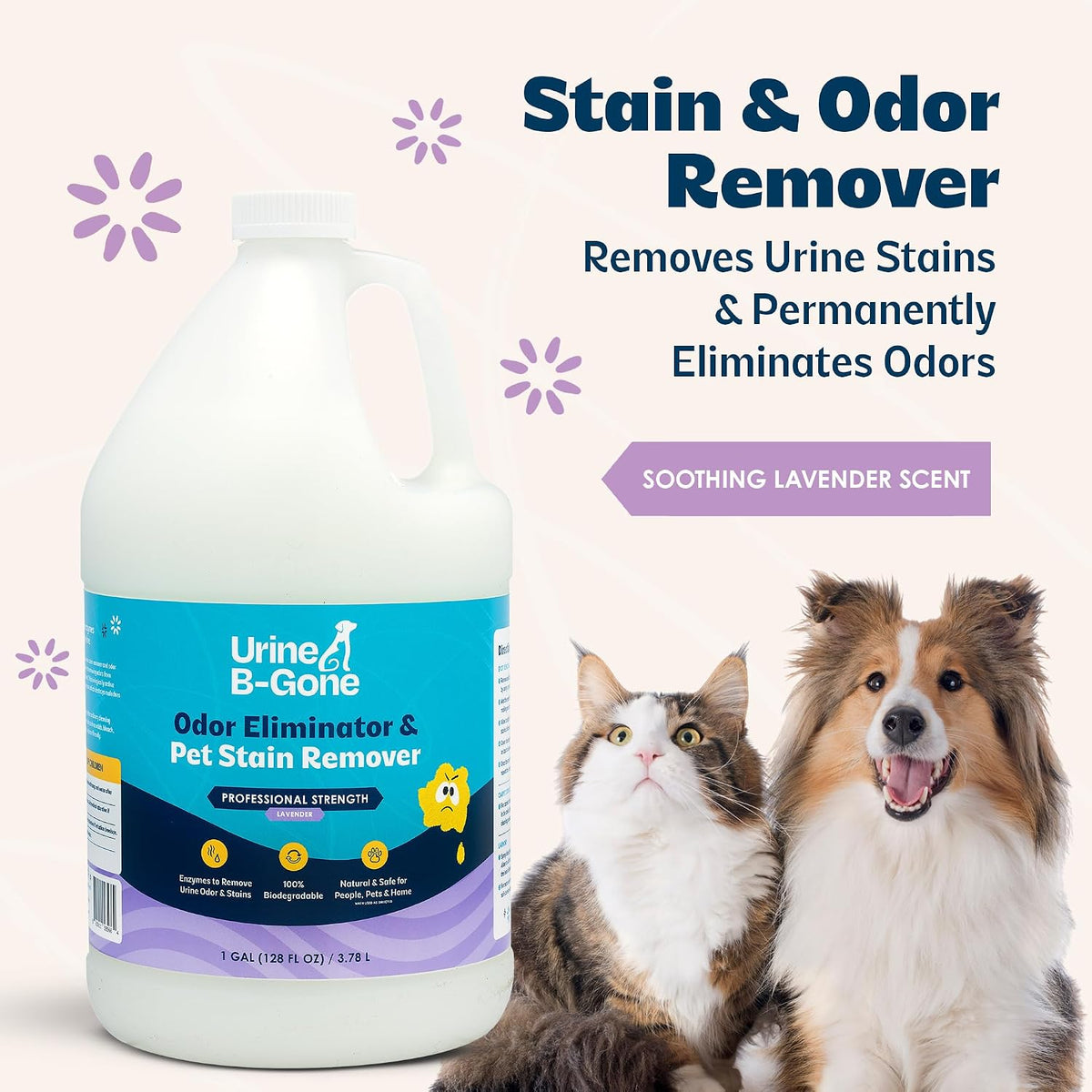 Enzyme Cleaner for Human, Cat & Dog Urine, Original, 1 Gallon