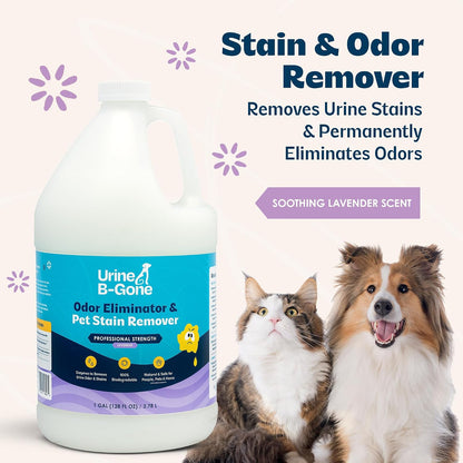 Enzyme Cleaner for Human, Cat & Dog Urine, Original, 1 Gallon