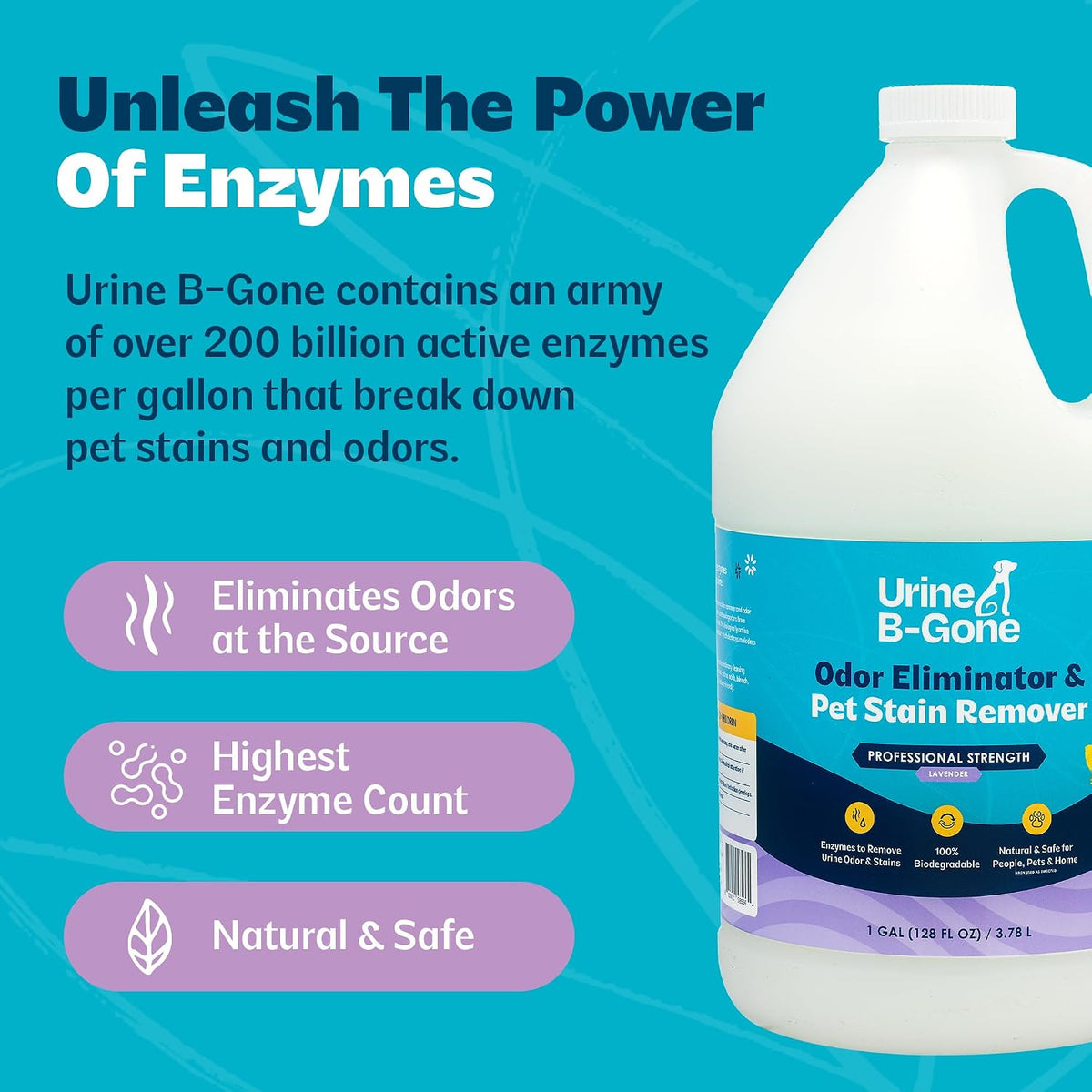 Enzyme Cleaner for Human, Cat & Dog Urine, Original, 1 Gallon
