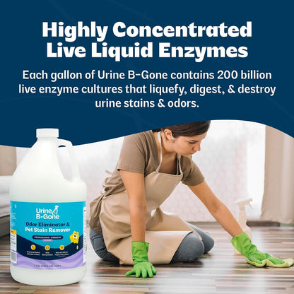 Enzyme Cleaner for Human, Cat & Dog Urine, Original, 1 Gallon