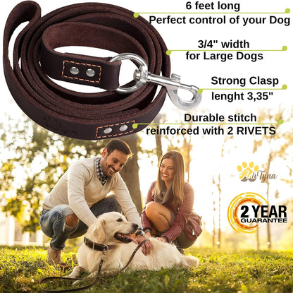 Leather Dog Leash for Large, Medium, and Small Dogs, 6ft x 3/4"