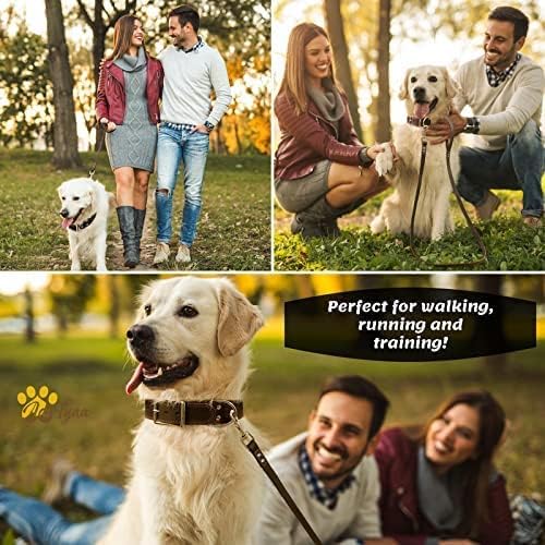 Leather Dog Leash for Large, Medium, and Small Dogs, 6ft x 3/4"