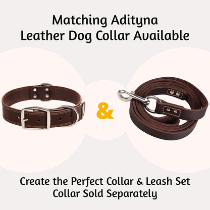 Leather Dog Leash for Large, Medium, and Small Dogs, 6ft x 3/4"