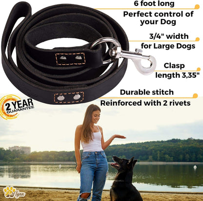 Leather Dog Leash for Large, Medium, and Small Dogs, 6ft x 3/4"