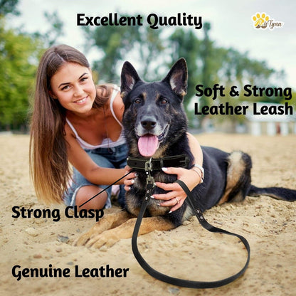 Leather Dog Leash for Large, Medium, and Small Dogs, 6ft x 3/4"