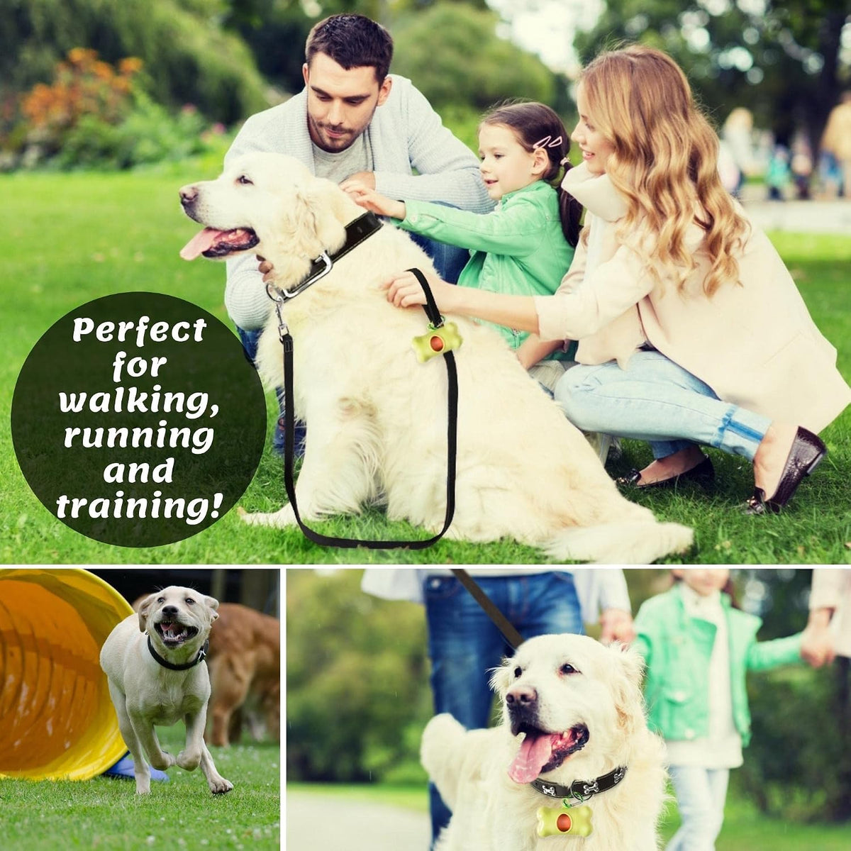 Leather Dog Leash for Large, Medium, and Small Dogs, 6ft x 3/4"