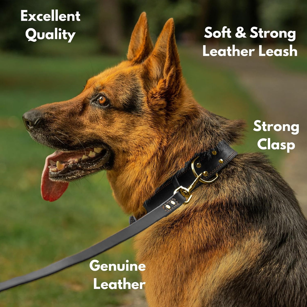 Leather Dog Leash for Large, Medium, and Small Dogs, 6ft x 3/4"
