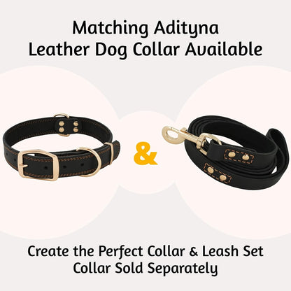 Leather Dog Leash for Large, Medium, and Small Dogs, 6ft x 3/4"
