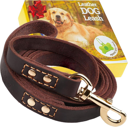 Leather Dog Leash for Large, Medium, and Small Dogs, 6ft x 3/4"