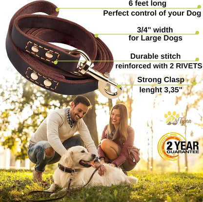 Leather Dog Leash for Large, Medium, and Small Dogs, 6ft x 3/4"