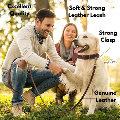 Leather Dog Leash for Large, Medium, and Small Dogs, 6ft x 3/4"