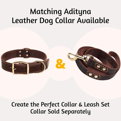 Leather Dog Leash for Large, Medium, and Small Dogs, 6ft x 3/4"