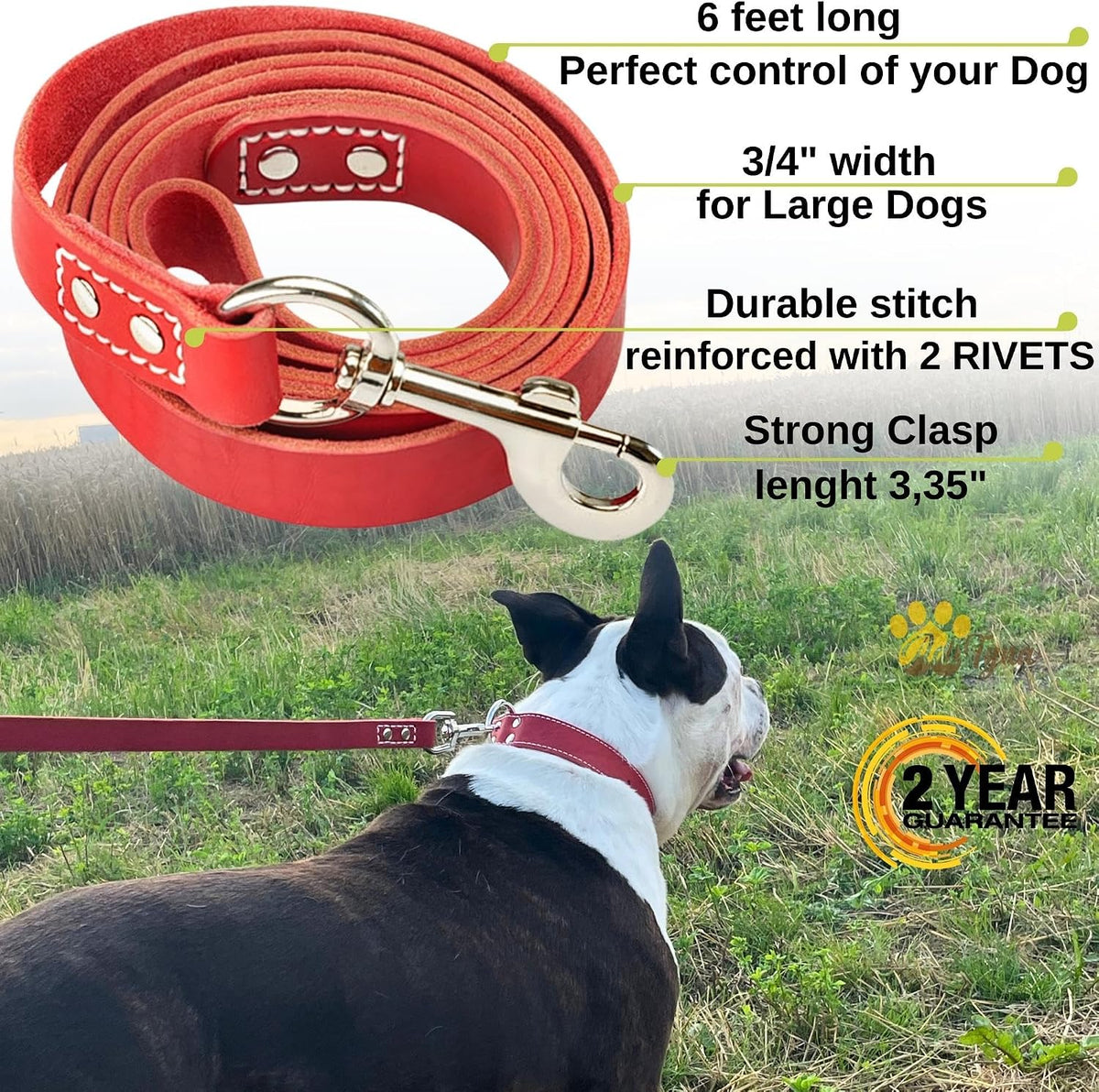Leather Dog Leash for Large, Medium, and Small Dogs, 6ft x 3/4"