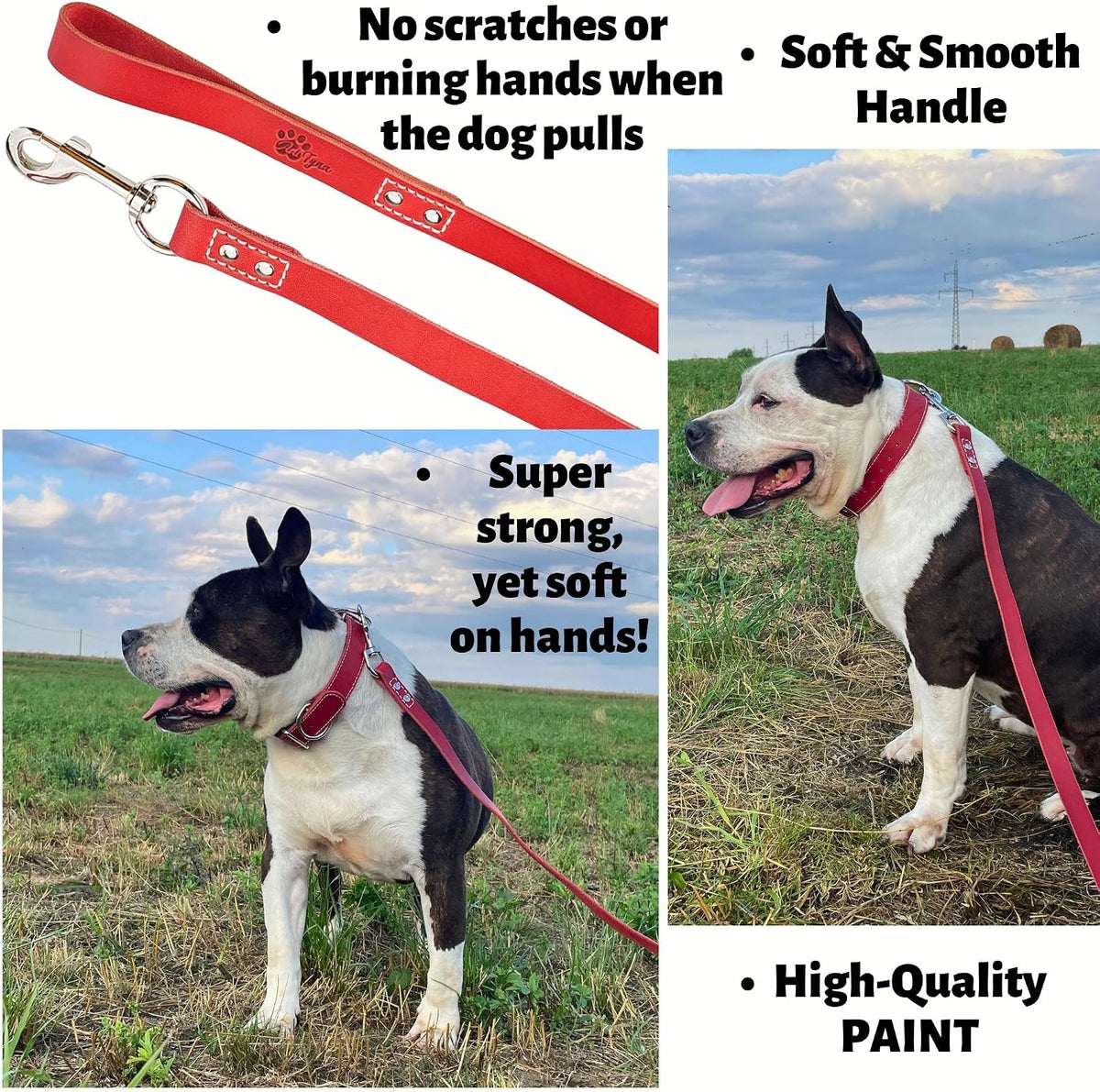 Leather Dog Leash for Large, Medium, and Small Dogs, 6ft x 3/4"