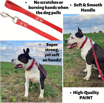 Leather Dog Leash for Large, Medium, and Small Dogs, 6ft x 3/4"