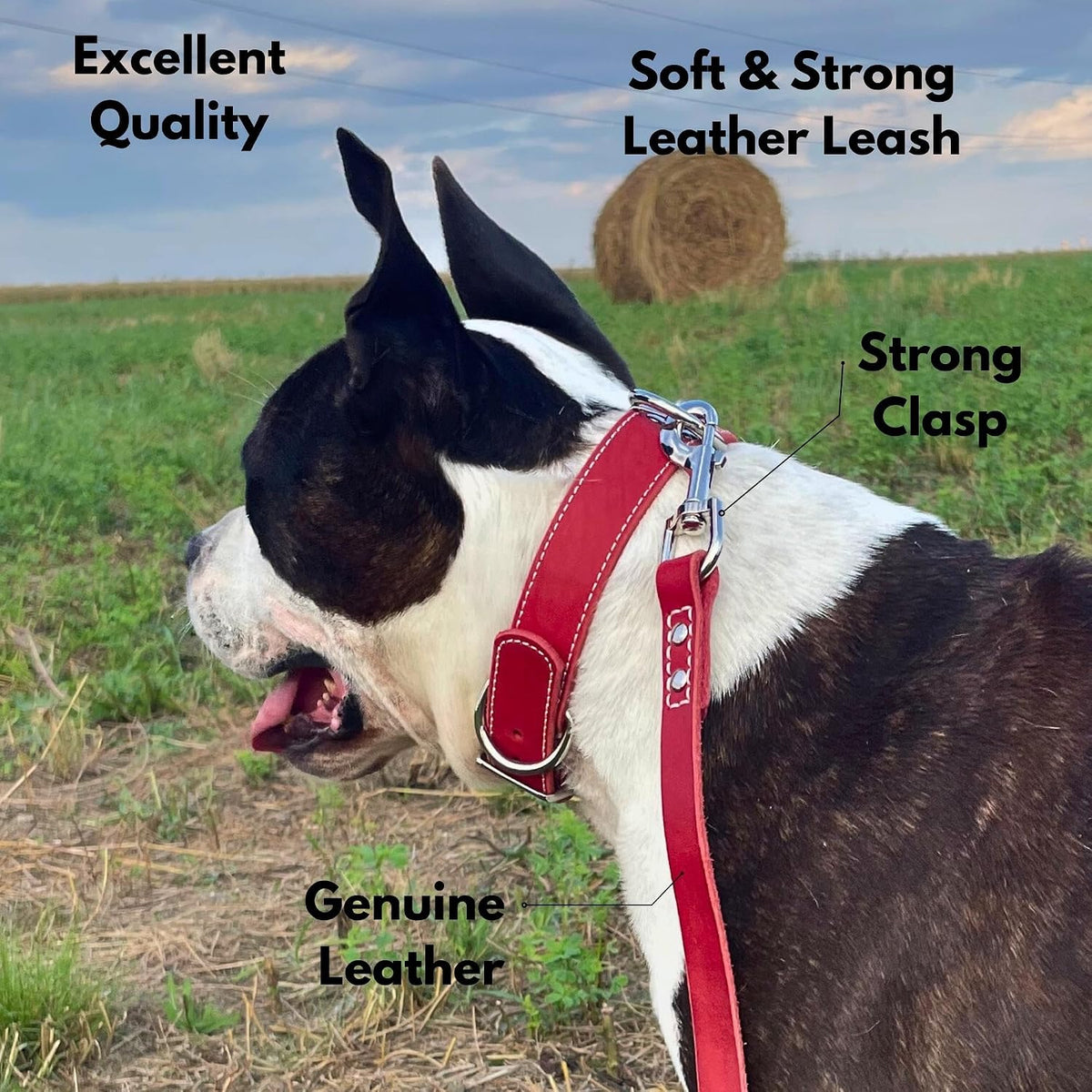 Leather Dog Leash for Large, Medium, and Small Dogs, 6ft x 3/4"