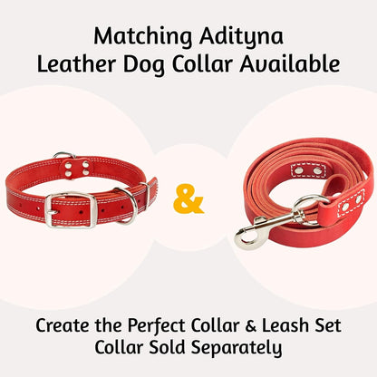Leather Dog Leash for Large, Medium, and Small Dogs, 6ft x 3/4"