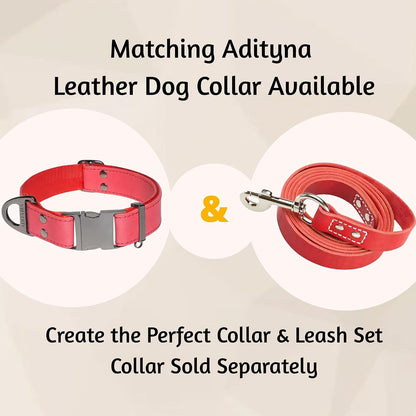 Leather Dog Leash for Large, Medium, and Small Dogs, 6ft x 3/4"