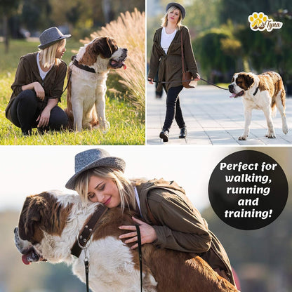 Leather Dog Leash for Large, Medium, and Small Dogs, 6ft x 3/4"