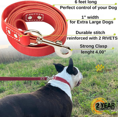 Leather Dog Leash for Large, Medium, and Small Dogs, 6ft x 3/4"