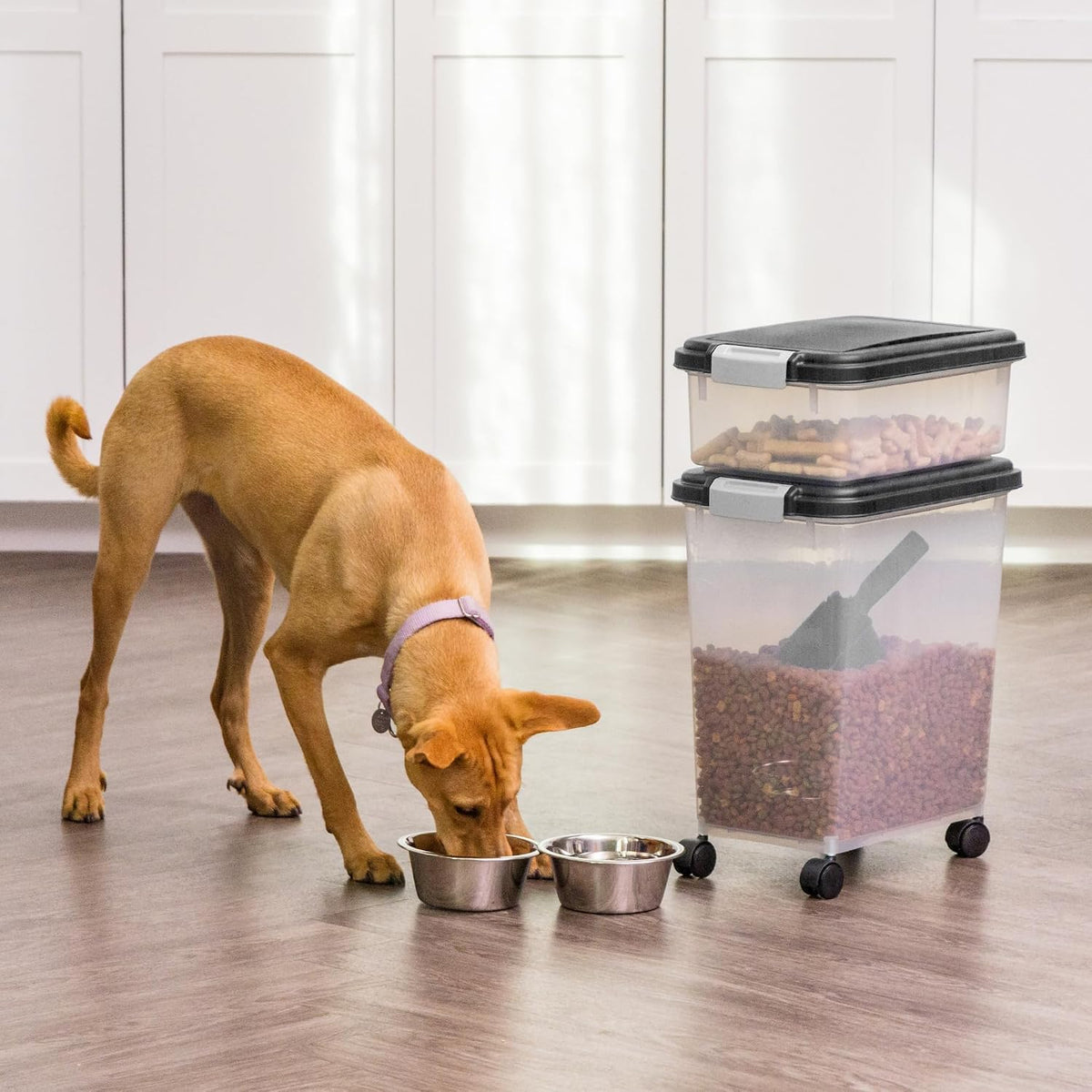 30 lb + 11 lb Airtight Pet Food Storage Containers with Wheels