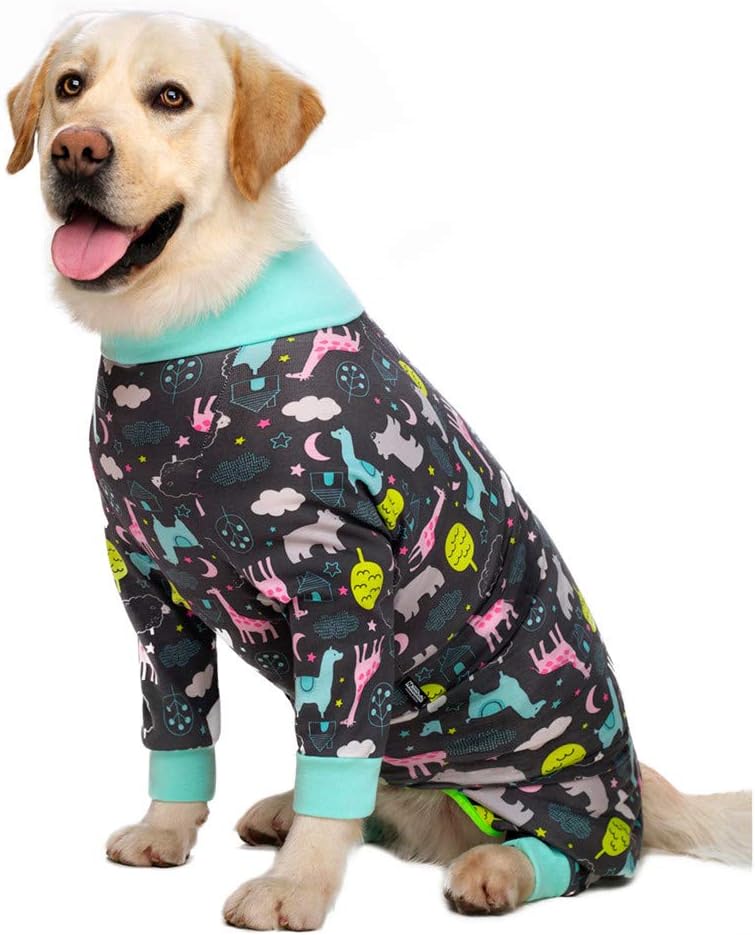 Dog Surgery Recovery Suit Female Male for Dogs After Surgery Medium Large Dogs Onesie Dog Pajamas Pjs Clothes (Dark Gray, 30 (Chest 29.92 in | Backlength 19.69 in))
