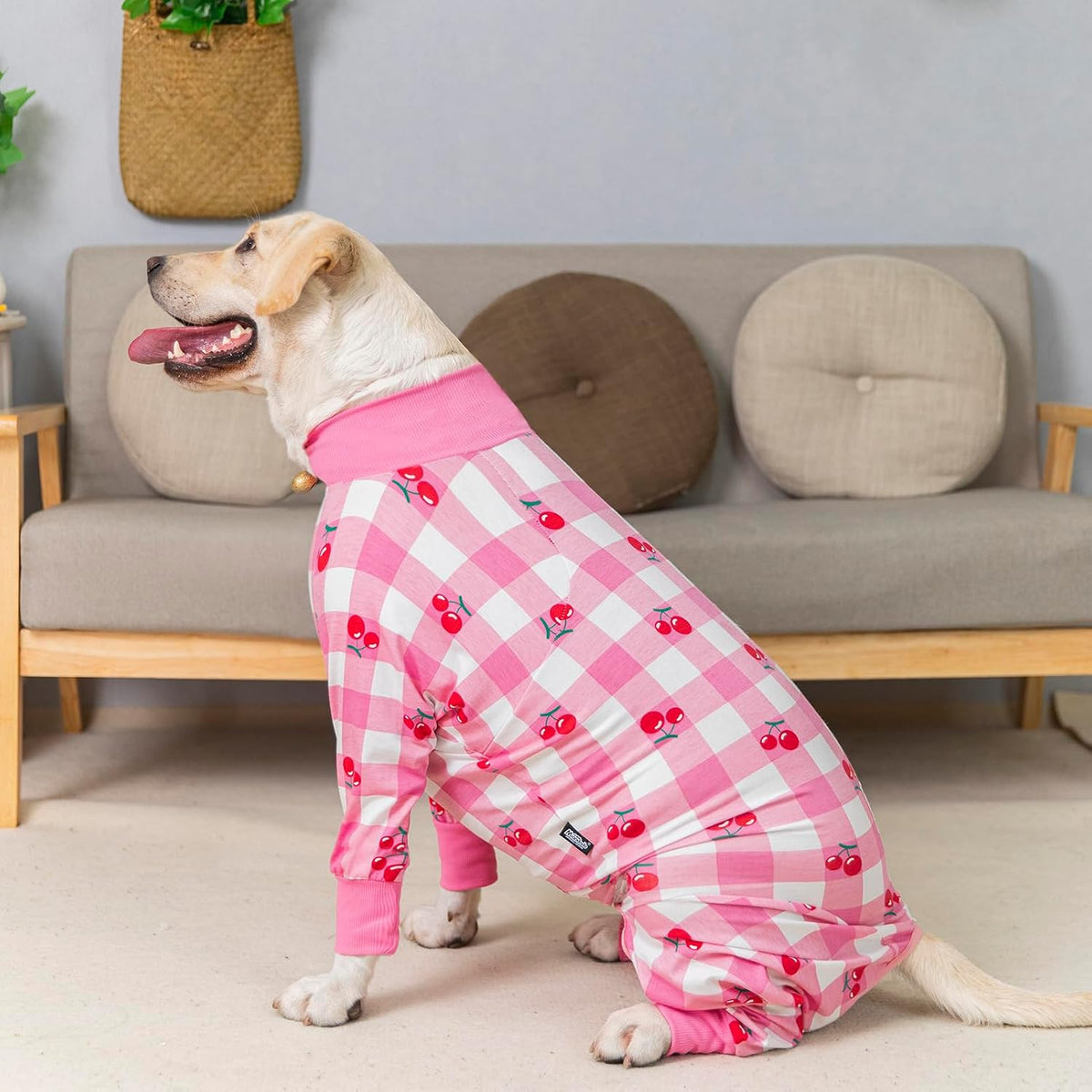 Dog Surgery Recovery Suit Female Male for Dogs After Surgery Medium Large Dogs Onesie Dog Pajamas Pjs Clothes (Dark Gray, 30 (Chest 29.92 in | Backlength 19.69 in))