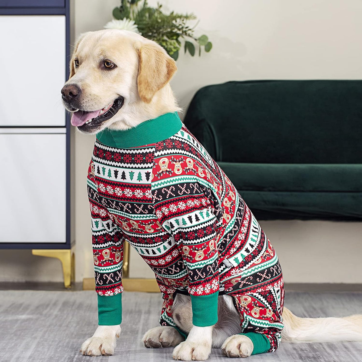 Dog Surgery Recovery Suit Female Male for Dogs After Surgery Medium Large Dogs Onesie Dog Pajamas Pjs Clothes (Dark Gray, 30 (Chest 29.92 in | Backlength 19.69 in))