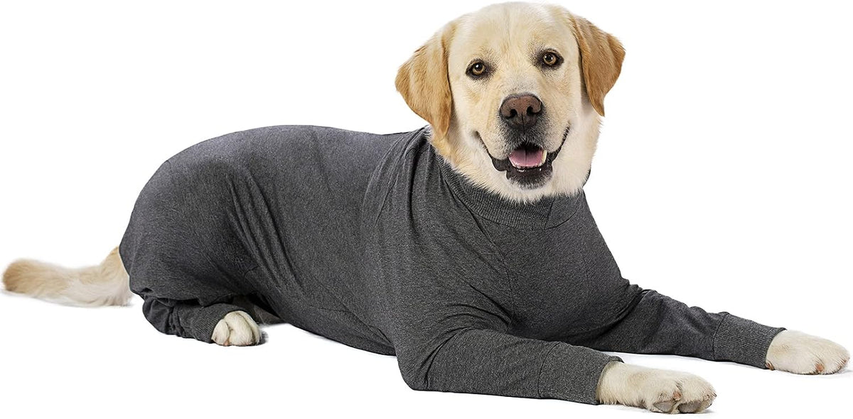 Dog Surgery Recovery Suit Female Male for Dogs After Surgery Medium Large Dogs Onesie Dog Pajamas Pjs Clothes (Dark Gray, 30 (Chest 29.92 in | Backlength 19.69 in))