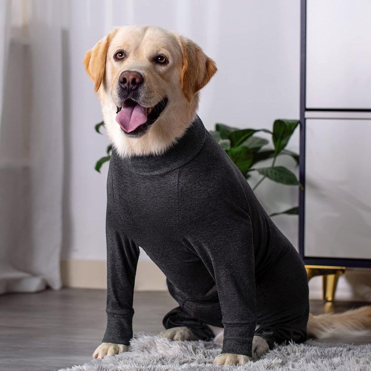 Dog Surgery Recovery Suit Female Male for Dogs After Surgery Medium Large Dogs Onesie Dog Pajamas Pjs Clothes (Dark Gray, 30 (Chest 29.92 in | Backlength 19.69 in))