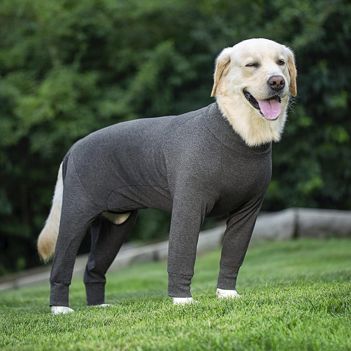 Dog Surgery Recovery Suit Female Male for Dogs After Surgery Medium Large Dogs Onesie Dog Pajamas Pjs Clothes (Dark Gray, 30 (Chest 29.92 in | Backlength 19.69 in))