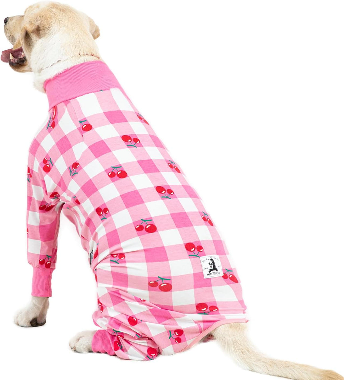 Dog Surgery Recovery Suit Female Male for Dogs After Surgery Medium Large Dogs Onesie Dog Pajamas Pjs Clothes (Dark Gray, 30 (Chest 29.92 in | Backlength 19.69 in))