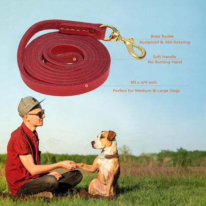 Leather Dog Leash 6ft, Dog Leashes for Large Dogs Heavy Duty, Soft Handmade Leather Training Leash for Large & Medium Dogs (6ftx3/4inch, Brown)