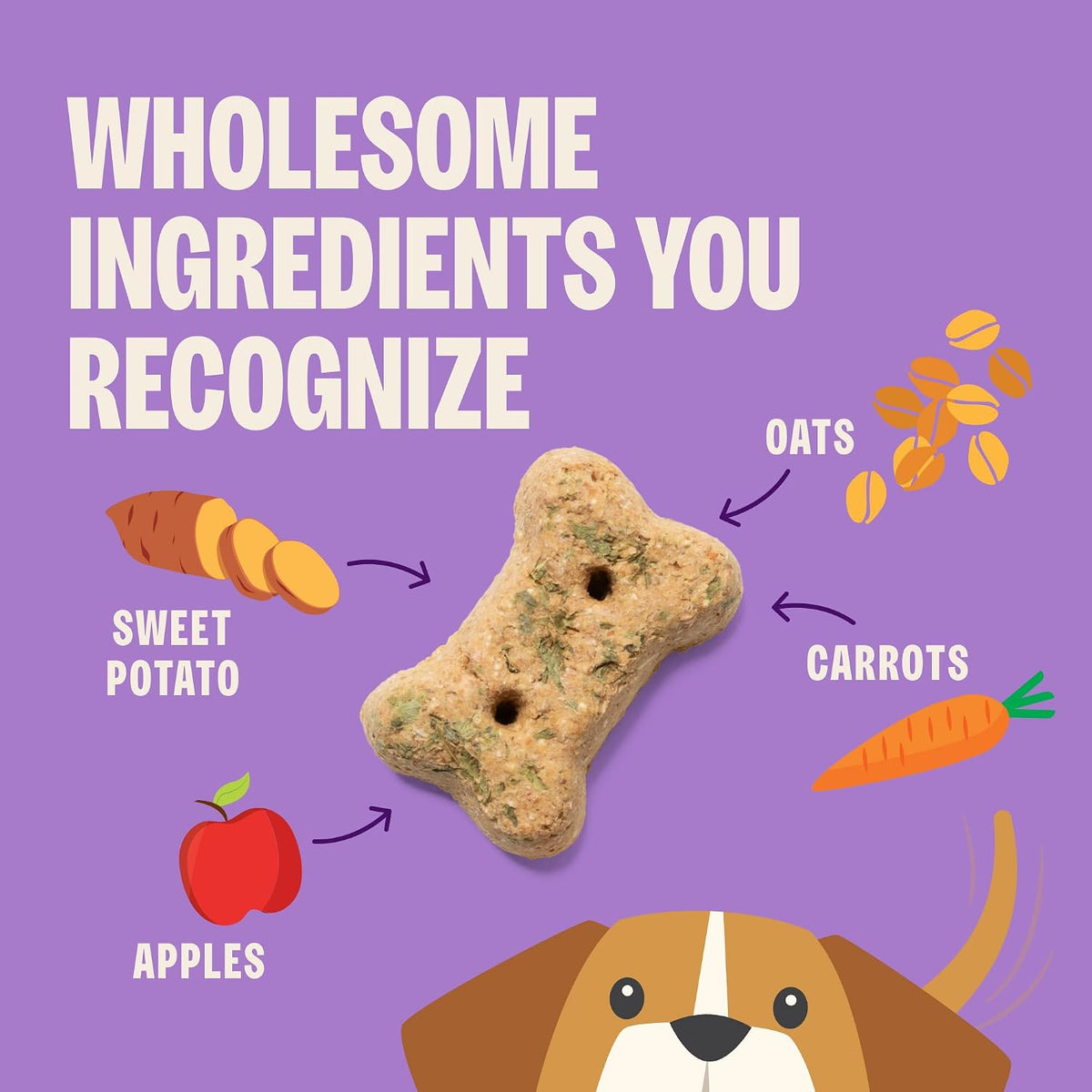 Wellness Old Mother Hubbard Classic Just Vegg'n Dog Biscuits, Natural Training Treats, Sweet Potato, Oats, Apple and Carrot Flavor, Mini Size, 20 oz Bag