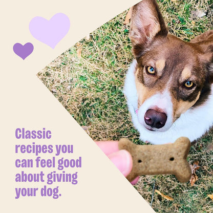 Wellness Old Mother Hubbard Classic Just Vegg'n Dog Biscuits, Natural Training Treats, Sweet Potato, Oats, Apple and Carrot Flavor, Mini Size, 20 oz Bag