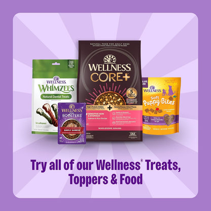 Wellness Old Mother Hubbard Classic Just Vegg'n Dog Biscuits, Natural Training Treats, Sweet Potato, Oats, Apple and Carrot Flavor, Mini Size, 20 oz Bag