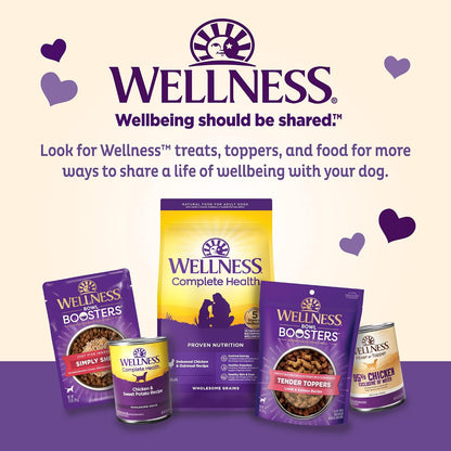 Wellness Old Mother Hubbard Classic Just Vegg'n Dog Biscuits, Natural Training Treats, Sweet Potato, Oats, Apple and Carrot Flavor, Mini Size, 20 oz Bag