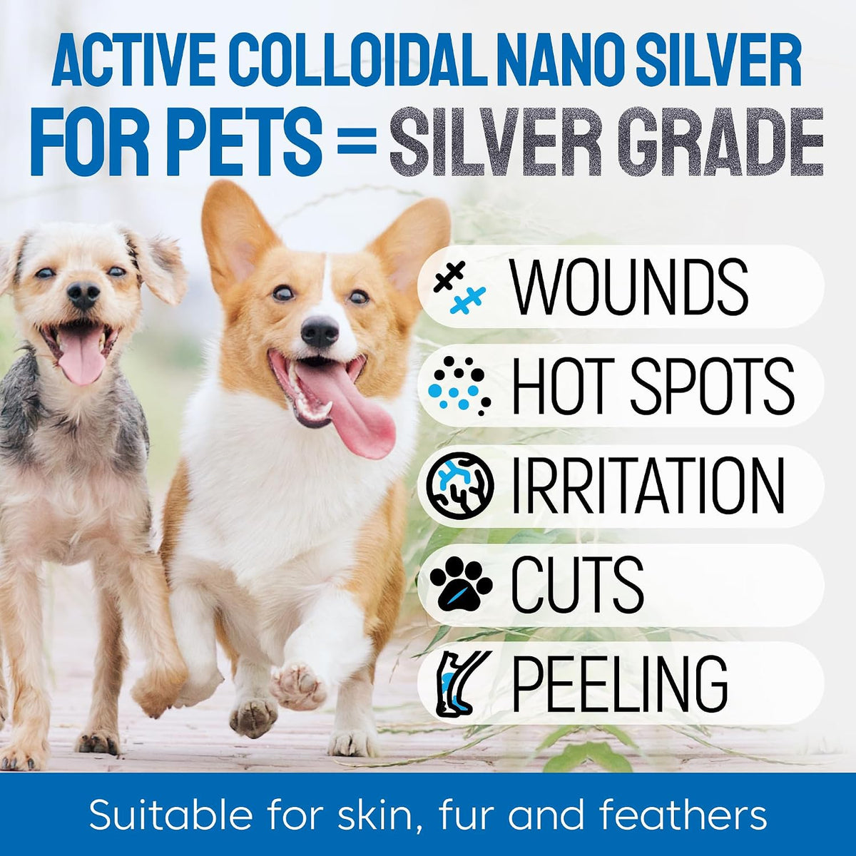 Wound Spray for Pets – Colloidal Silver Wound Care for Dogs & Cats – Helps with Skin Irritation, Hot Spots, Rashes, Scratching, Itch, Bites & Burns – Use a Dog Cone – 4 oz