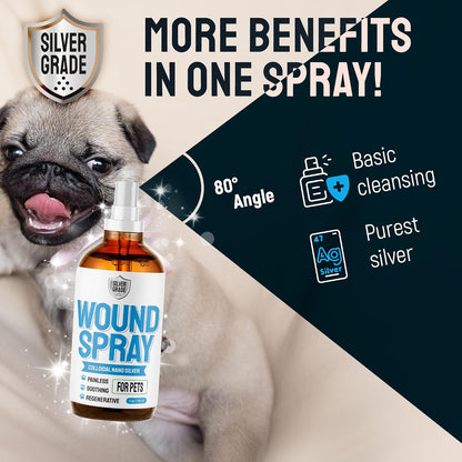 Wound Spray for Pets – Colloidal Silver Wound Care for Dogs & Cats – Helps with Skin Irritation, Hot Spots, Rashes, Scratching, Itch, Bites & Burns – Use a Dog Cone – 4 oz